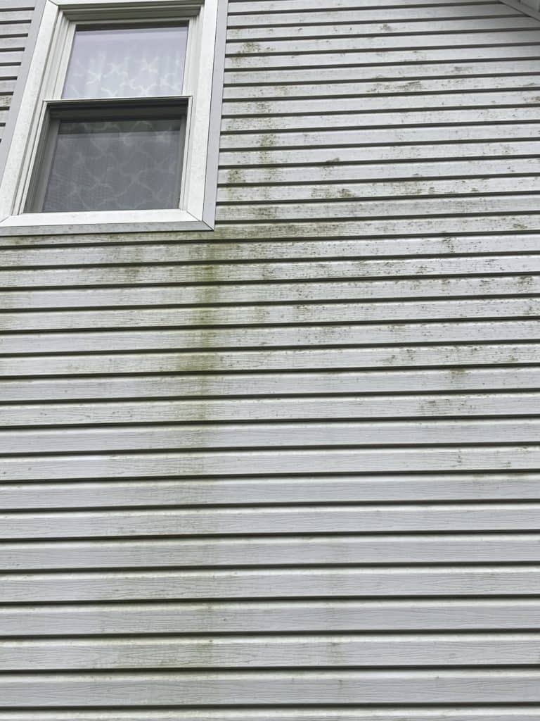 Vinyl Siding Maintenance Service